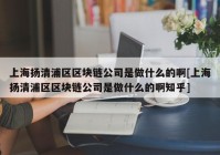 上海扬清浦区区块链公司是做什么的啊[上海扬清浦区区块链公司是做什么的啊知乎]